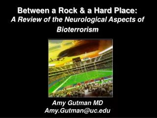 Between a Rock &amp; a Hard Place: A Review of the Neurological Aspects of Bioterrorism