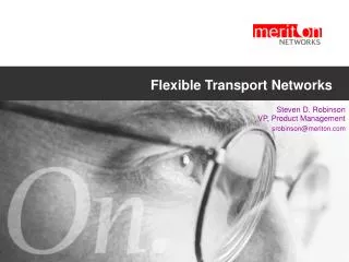 Flexible Transport Networks