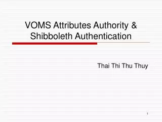 VOMS Attributes Authority &amp; Shibboleth Authentication