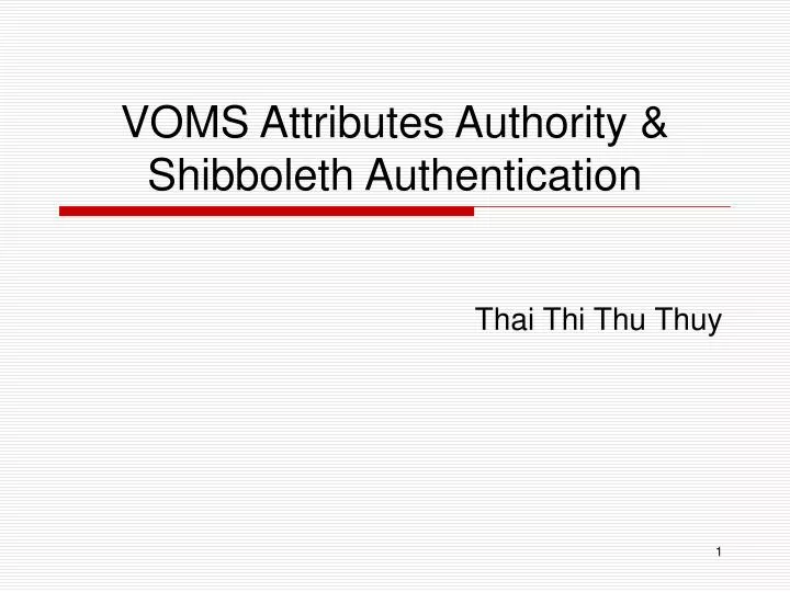 voms attributes authority shibboleth authentication