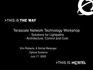 Terascale Network Technology Workshop - Solutions for Lightpaths - Architecture, Control and Cost