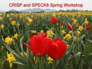CRISP and SPECK8 Spring Workshop