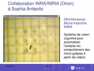 collaboration inra inria orion sophia antipolis