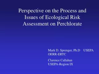 Perspective on the Process and Issues of Ecological Risk Assessment on Perchlorate