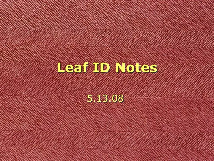 leaf id notes