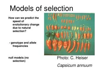 Models of selection