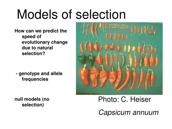 models of selection