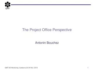 The Project Office Perspective