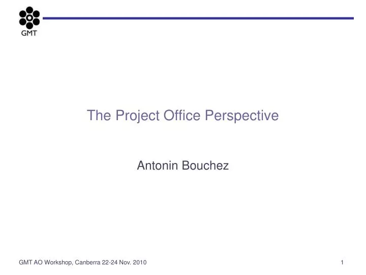 the project office perspective