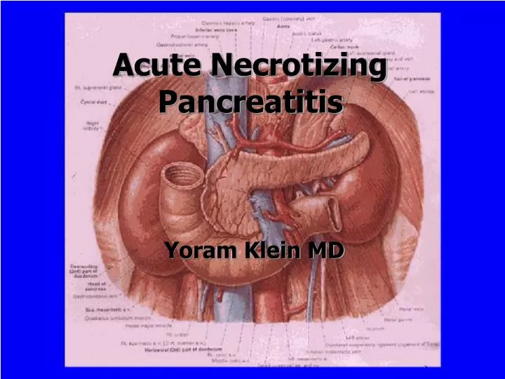 acute necrotizing pancreatitis