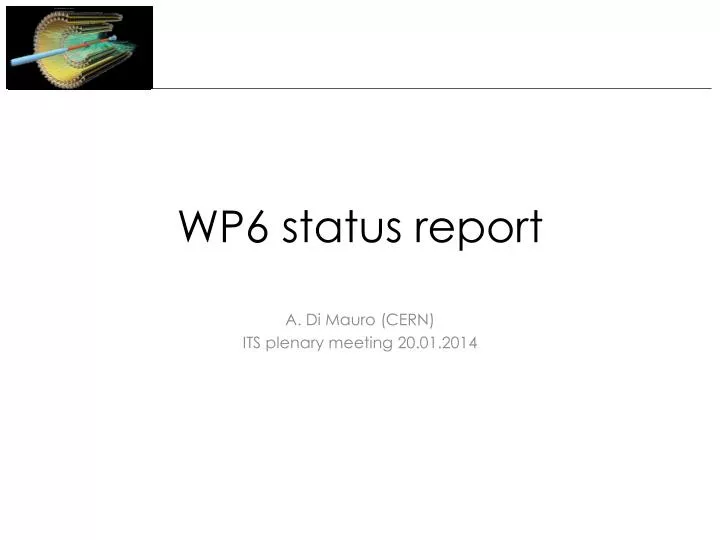 wp6 status report