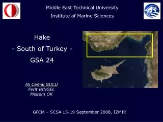 Hake - South of Turkey - GSA 24