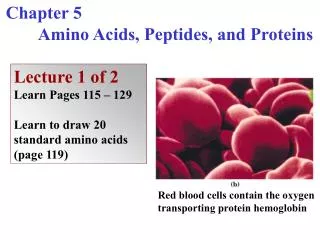 Chapter 5 	Amino Acids, Peptides, and Proteins