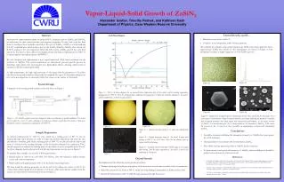 Vapor-Liquid-Solid Growth of ZnSiN 2