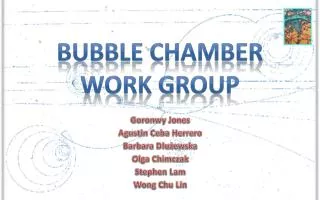 Bubble Chamber Work Group
