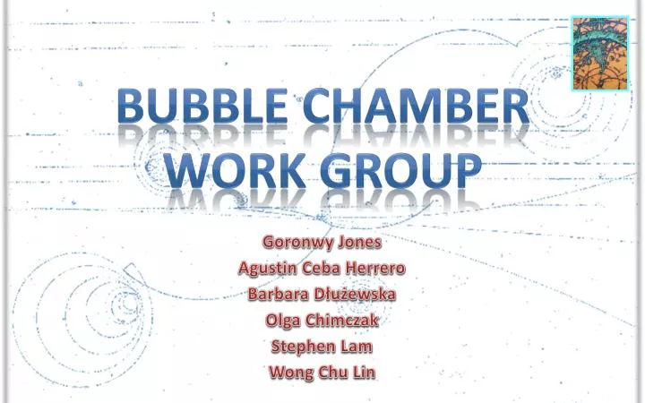 bubble chamber work group