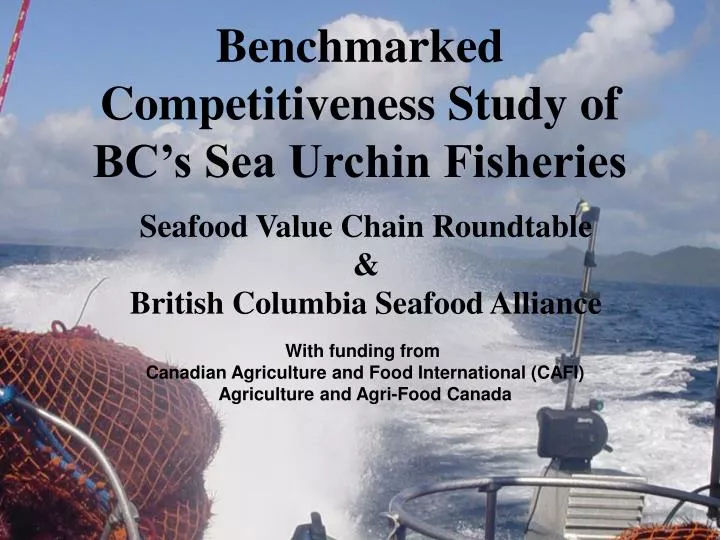 benchmarked competitiveness study of bc s sea urchin fisheries