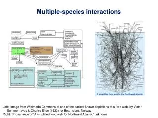 Multiple-species interactions