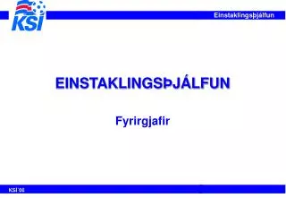 einstaklings j lfun