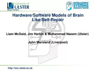 Hardware/Software Models of Brain Like Self-Repair