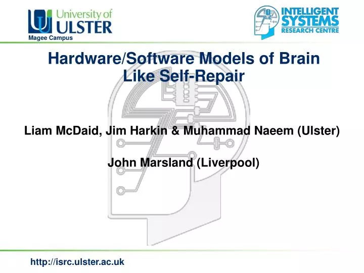 hardware software models of brain like self repair