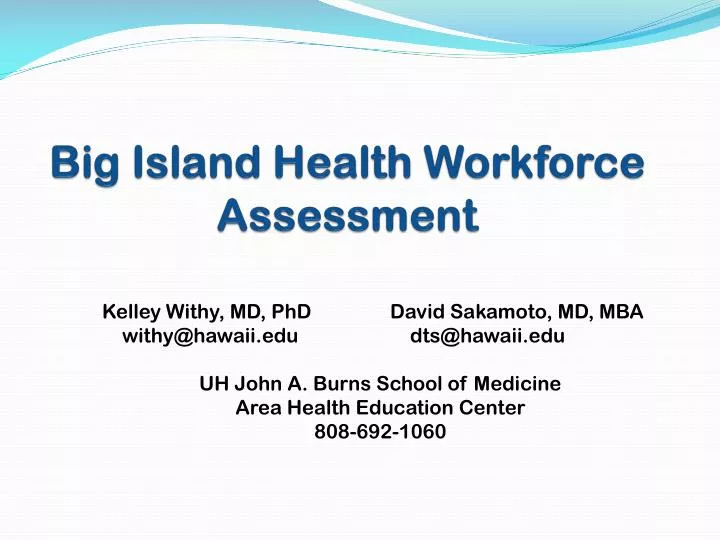 big island health workforce assessment