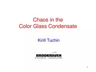 Chaos in the Color Glass Condensate