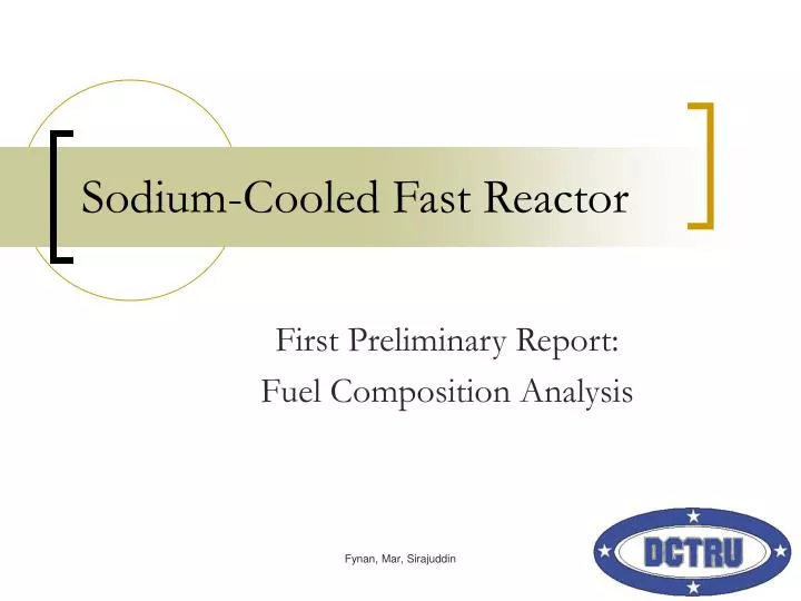 sodium cooled fast reactor