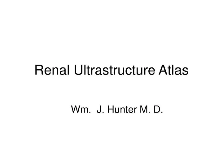 renal ultrastructure atlas