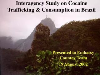 Interagency Study on Cocaine Trafficking &amp; Consumption in Brazil