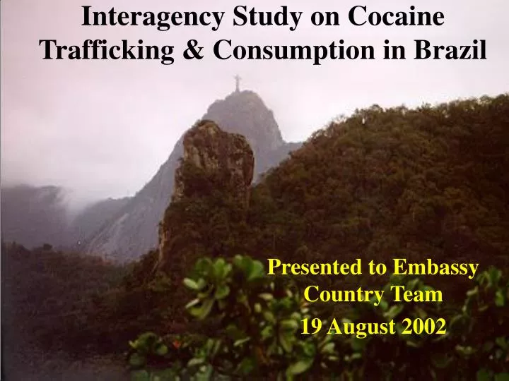 interagency study on cocaine trafficking consumption in brazil