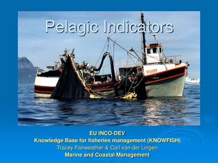pelagic indicators