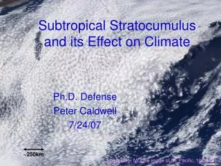 Subtropical Stratocumulus and its Effect on Climate