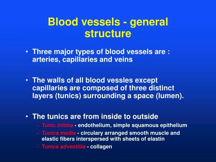 blood vessels general structure