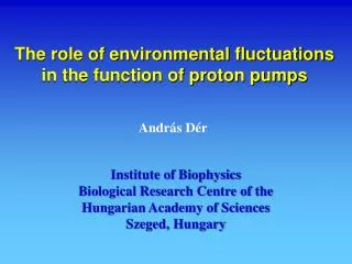 The role of environmental fluctuations in the function of proton pumps