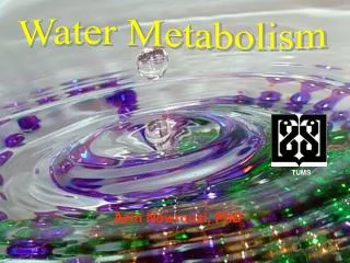 Water Metabolism