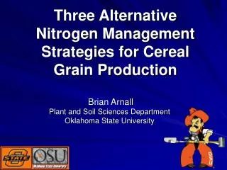 Three Alternative Nitrogen Management Strategies for Cereal Grain Production