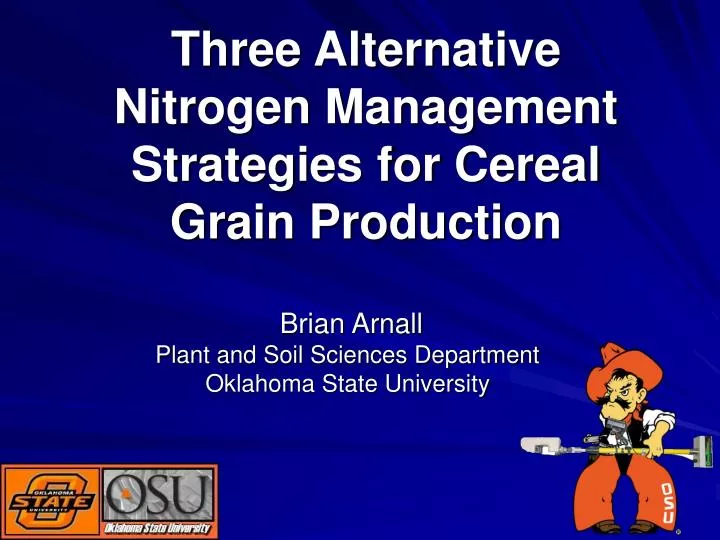 three alternative nitrogen management strategies for cereal grain production