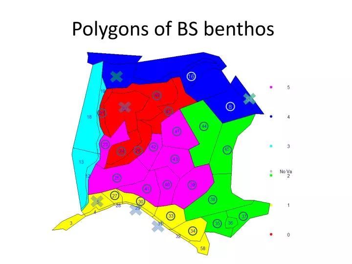 polygons of bs benthos