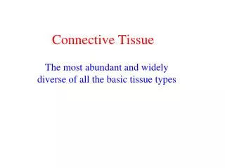 Connective Tissue