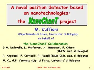 A novel position detector based on nanotechnologies: the project