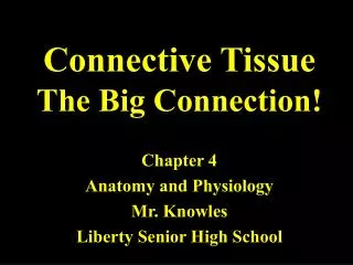 Connective Tissue The Big Connection!