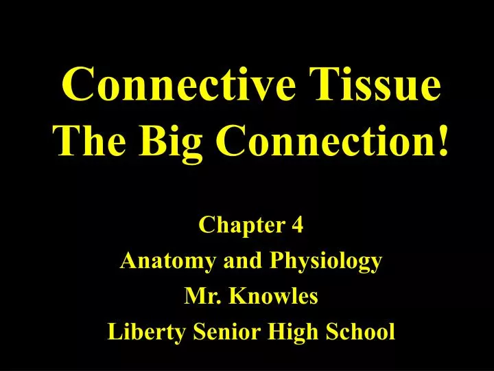 connective tissue the big connection