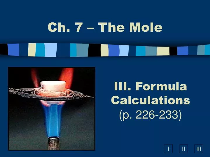 ch 7 the mole
