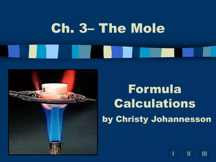 ch 3 the mole