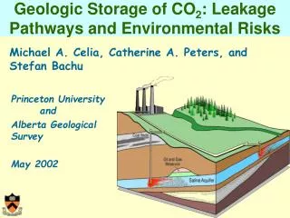 Geologic Storage of CO 2 : Leakage Pathways and Environmental Risks