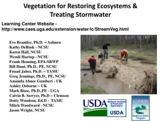 Vegetation for Restoring Ecosystems &amp; Treating Stormwater