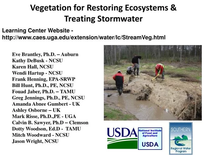 vegetation for restoring ecosystems treating stormwater