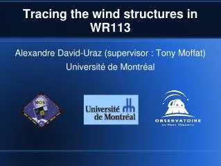 Tracing the wind structures in WR113