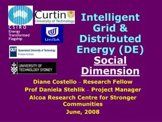Intelligent Grid &amp; Distributed Energy (DE) Social Dimension